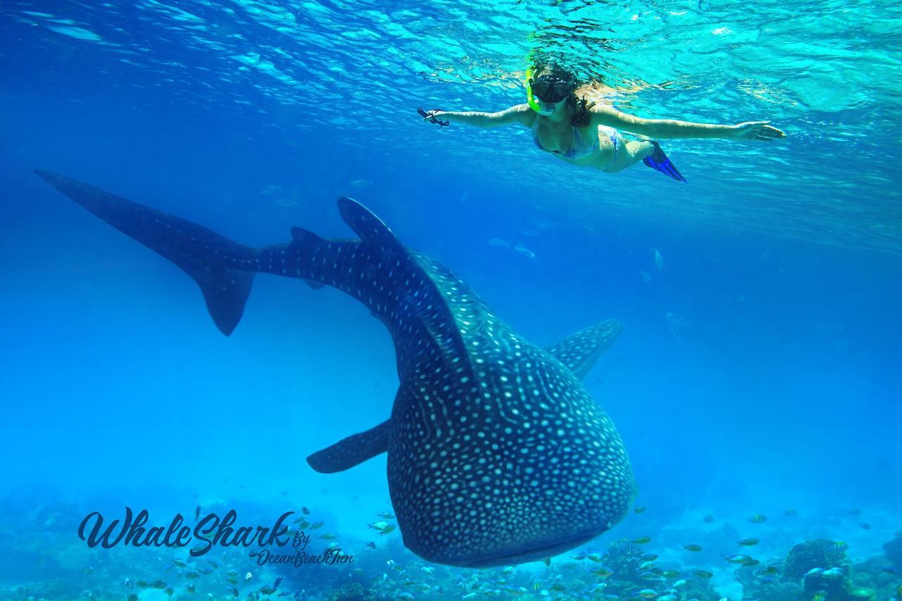 Hotel Ocean Beach Maldive Maldives Zewnętrze zdjęcie