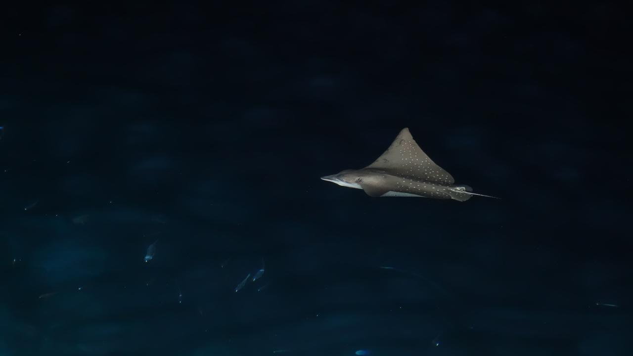 Hotel Ocean Beach Maldive Maldives Zewnętrze zdjęcie